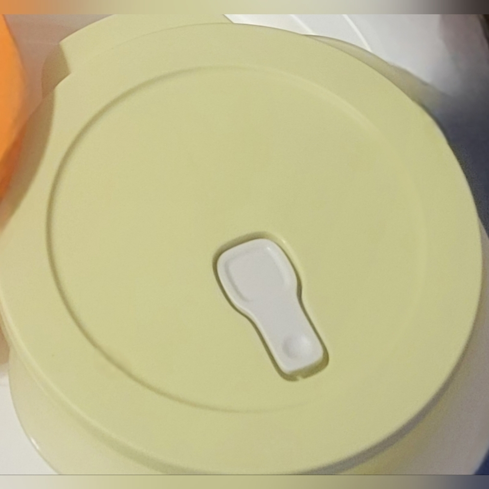 Tupperware Round Divided Container